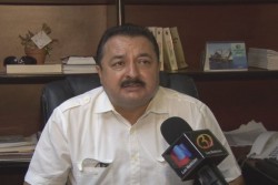 Cambio climático desplaza el camarón de Sinaloa hacia Baja California Sur