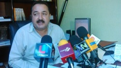Capturas de camarón son regulares en el norte de Sinaloa