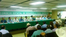 Sin dinero Aserca para cubrir adeudos de los productores de Sinaloa