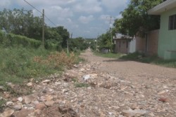 Pésimas condiciones de la calle José María Trichuelo