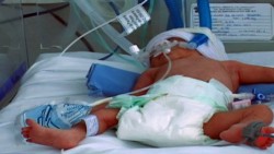De 20 a 25 nacimientos al día se registran en el Hospital General