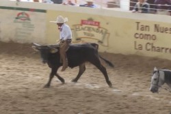 La Charreria castigada en la promociòn por TV