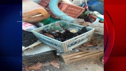 15 casos de Chikungunya en la zona sur del estado de Sinaloa