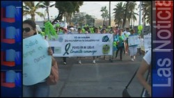 Conmemoran el Día de la Salud Mental con una caminata