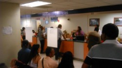 Sí hay plásticos necesarios para la expedición de licencias