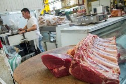 ONG: se vende en México carne de caballo no apta para humanos