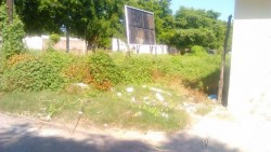 Habitantes del Fraccionamiento San Benito solicitan limpieza de lote baldío y rehabilitar vialidades
