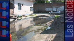 Más de 3 años con el rebosamiento de Aguas negra en la Col. Ampliación 20 de Noviembre