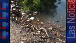 Márgenes del estero del infiernillo llenos de basura