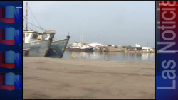 Próxima semana quedan listos los accesos controlados al muelle: Se entregarán credenciales a pescadores para accesar