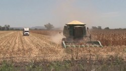 Espera MALOVA tener respuesta de pago a productores la próxima semana