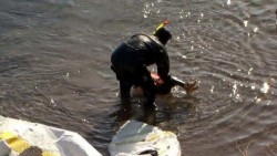 Tres niños y un bebé mueren frente a las costas griegas