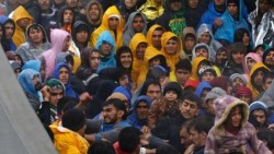 Miles de refugiados se agolpan en la frontera serbio-croata