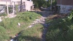 Requieren de limpieza de lotes baldío y rapado de calles vecinos de la colonia Melchor Ocampo