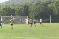 Dorados recibe a Tigres éste sábado