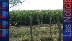El Diputado Germán Escobar, busca beneficiar a los agricultores