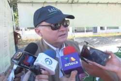 Buscan que no se den brotes masivos de chikungunya.