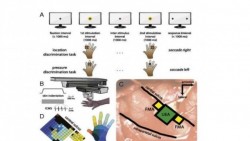 Prótesis artificiales recrearán el tacto