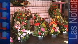 Se preparan comerciantes de Flores para el Día de Muertos