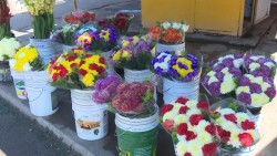Dan a conocer precio oficial de flores