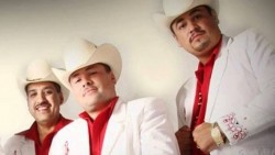 Matan a balazos a integrante de los Cardenales de Sinaloa
