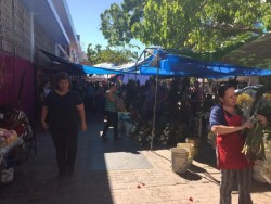 Para comerciantes de Culiacán no favorece la celebración por el día de muertos.