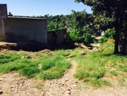 Sin respuesta a petición de reparación de calle en la colonia Rosario Usarraga