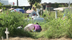 Olvidan limpiar una parte del panteón jardín