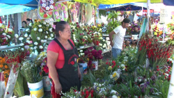 Profeco al pendiente de los precios de las flores