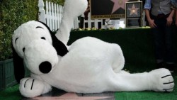 Snoopy, el primer beagle con estrella en el Paseo de la Fama
