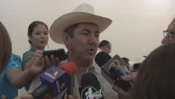 Buscan reactivar exportaciones de ganado en pie a Estados Unidos