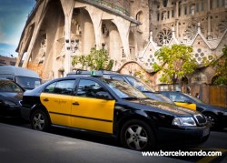 Barcelona estudia prohibir parar taxis en plena calle