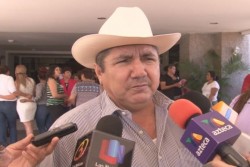 Baja precio de leche y becerro en pie.