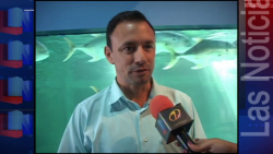 Acuario Mazatlán anuncia promociones por el Buen Fin.