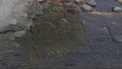 Fuga de agua potable en el Infonavit Alarcón