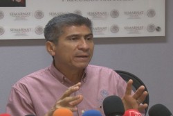 Solicitados ante Hacienda , 23 millones de pesos para rehabilitar playas de Mazatlán