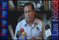 Que se legalice la marihuana siempre y cuando sea para uso medicinal