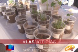 Es escasa la cultura ambiental en Cajeme
