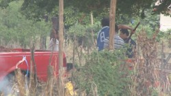 Clausura Ayuntamiento de Culiacán predio en El Diez usado para procesar alimentos