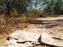 Un hombre fue encontrado sin vida, a espaldas del Fraccionamiento Zona Dorada