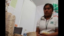 Leña ecológica de estudiantes de Oaxaca premio de emprendedores