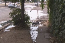 Fuga de aguas negras en Terranova, por la Calzada de las Torres