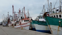 Permanece cerrado el puerto de Topolobampo a embarcaciones menores