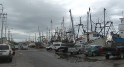 Se resguardan embarcaciones pesqueras en puerto, ante las condiciones climatológicas del Pacífico.