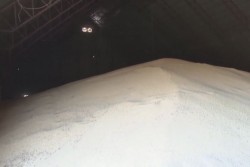 FIRA revisa bodegas y organismos para iniciar pagos a maiceros