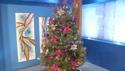 IMSS recomienda extremar precauciones con luces navideñas