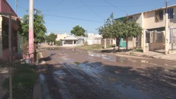 Piden que arreglen la calle Coníferas