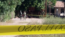 Encuentran 4 muertos en vivienda de San Blas El Fuerte