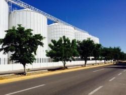 Advierte FEDEPAS que habrá bodegas que no entrarán al programa de financiamiento, se busca la manera de apoyarlos