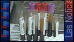 112 casos sospechosos de Chikungunya en la zona sur del estado